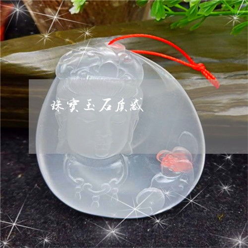 珠寶玉石的質(zhì)感、鑒別與評(píng)價(jià) 2023年翡翠與珠寶玉器最新指南